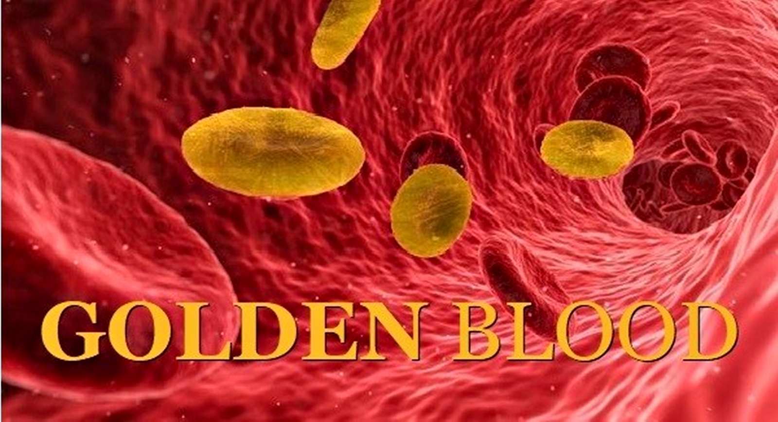 Ilustrasi golongan darah langka (emas).