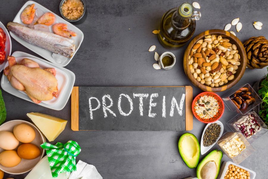 asupan protein per hari