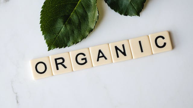 makanan organik