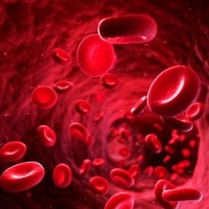 Kenali Penyakit Darah Kotor dan Efeknya Pada Kesehatan