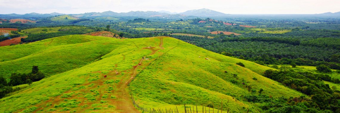 bukit rimpi kalimantan