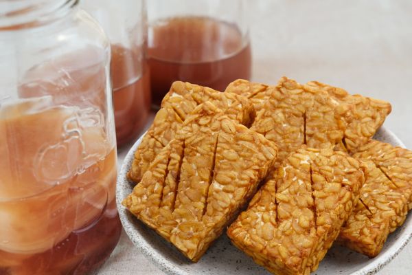 Makanan fermentasi
