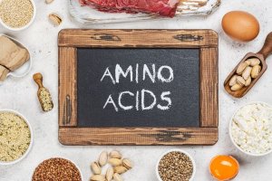asam amino