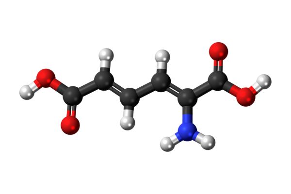 asam amino
