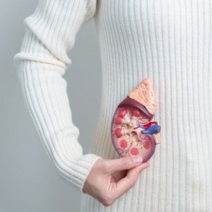 Mengenal Kelenjar Adrenal: Penghasil Hormon Vital Bagi Tubuh