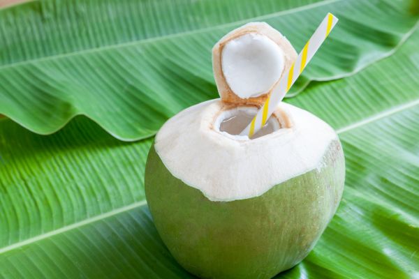 kelapa muda