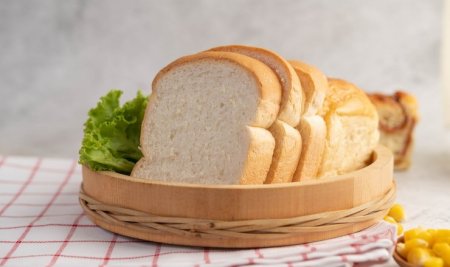 Mikroorganisme Roti: Apa Pengaruhnya pada Gizi dan Imunitas?