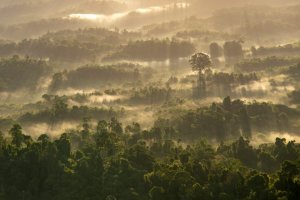 bukit meratus