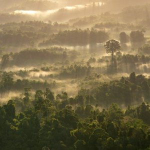 Eksplorasi Keindahan Bukit Meratus: Surga Alam di Kalsel