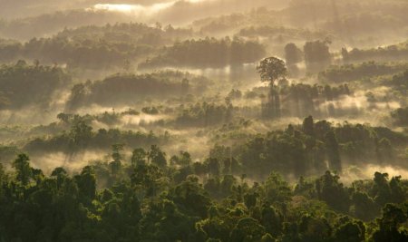 Eksplorasi Keindahan Bukit Meratus: Surga Alam di Kalsel