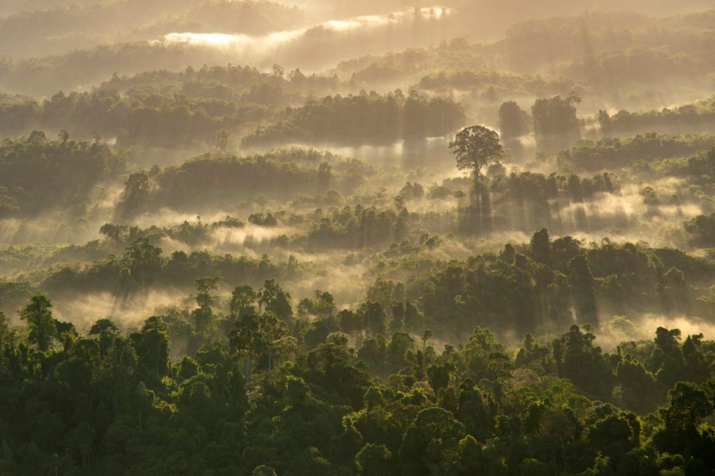 bukit meratus
