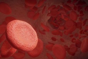 Sel darah merah yang bisa menjadi sebab apa itu thalasemia
