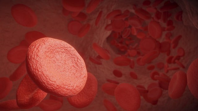 Sel darah merah yang bisa menjadi sebab apa itu thalasemia