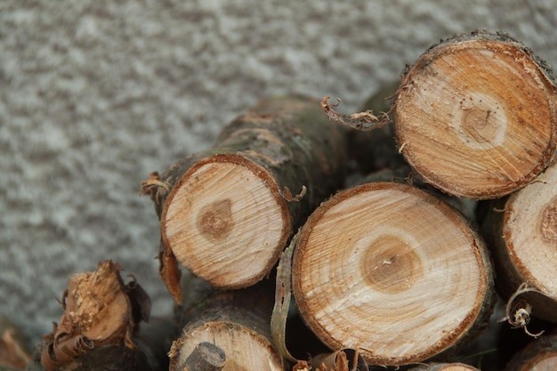 Berbagai manfaat kayu bajakah Kalimantan