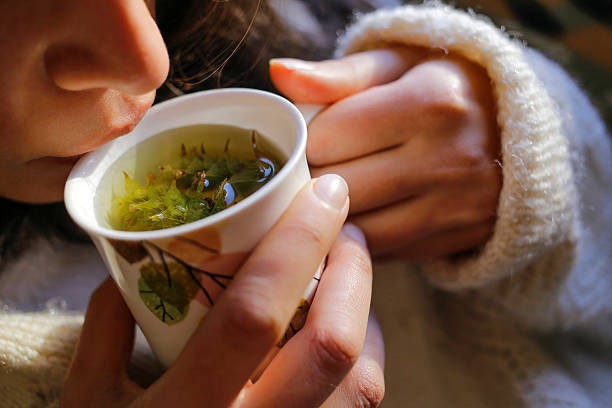 Minum teh hijau untuk diet