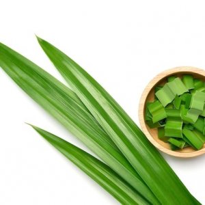Manfaat Daun Pandan yang Jarang Diketahui untuk Kesehatan
