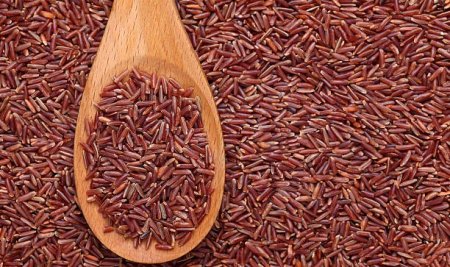 Karbohidrat Apa Saja yang Baik untuk Program MBG?