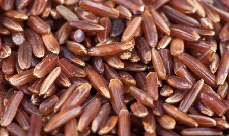 Beras Merah dan Manfaatnya untuk Kesehatan