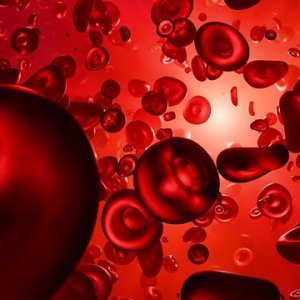 Darah Manis: Makanan yang Harus Dihindari