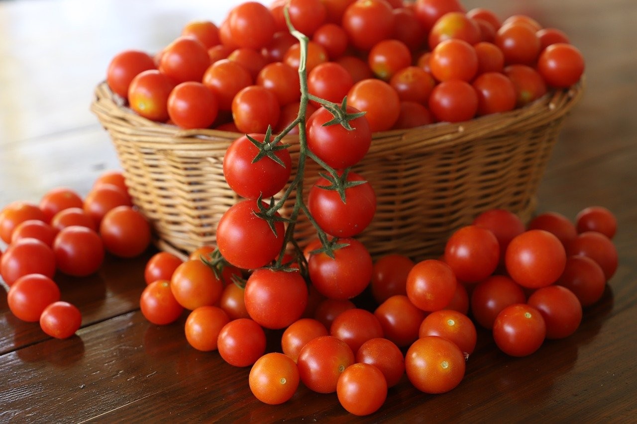 Ilustrasi tomat ceri.