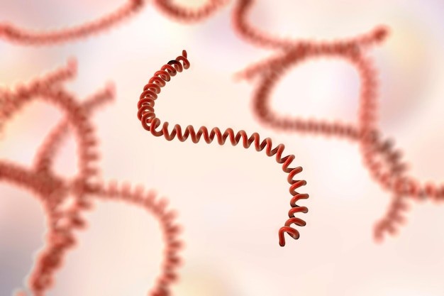 Leptospirosis penyakit apa yang disebabkan faktor lingkungan.