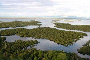 Danau Sentarum adalah salah satu wisata alam Kalimantan Barat.