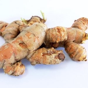 Kunyit Putih dan Manfaatnya untuk Kesehatan