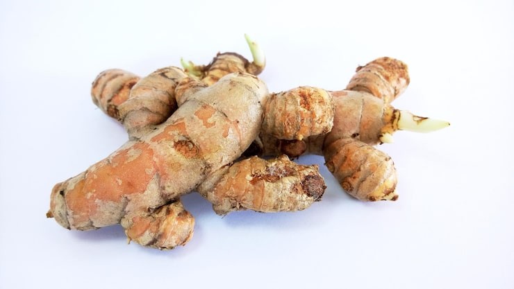 Ilustrasi kunyit putih.