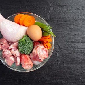 Protein Hewani Apa Saja yang Baik untuk MPASI?